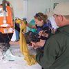 В Приморье привезли раненого даурского журавля — в крыле птицы нашли дробь (ФОТО)