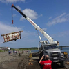 Трех косаток из «китовой тюрьмы» выпустили в Охотское море (ФОТО)