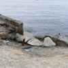 Безопасного спуска к воде нет – всюду лишь раскрошившийся бетон и торчащая арматура — newsvl.ru