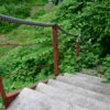 Одна из бетонных лестниц к пляжу (даром что выглядит крепко) сильно заросла — newsvl.ru