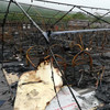 Число жертв пожара в палаточном лагере в Хабаровском крае увеличилось до четырех