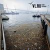Акватория Золотого Рога у Корабельной набережной погрязла в мусоре (ФОТО)