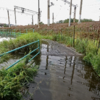 Из-за дождей беговая дорожка около озера Чан оказалась затопленной — newsvl.ru
