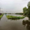 Значительная часть беговой дорожки около озера Чан оказалась затопленной — newsvl.ru