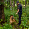 В Спасском районе полицейская собака помогла спасти пятерых заблудившихся грибников