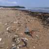 Мусор разбросан по всему пляжу — newsvl.ru