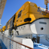 Спасательные средства Spectrum of the Seas способны вместить всех пассажиров и экипаж — newsvl.ru