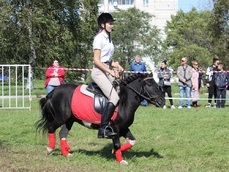 Скачки на пони устроили участники конных соревнований в Комсомольске 