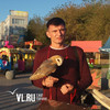 Зоозащитница из Владивостока хочет привлечь к ответственности людей, эксплуатирующих животных на Спортивной набережной