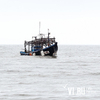 У 262 рыбаков из КНДР изъяли 30 тысяч туш кальмара в Приморье