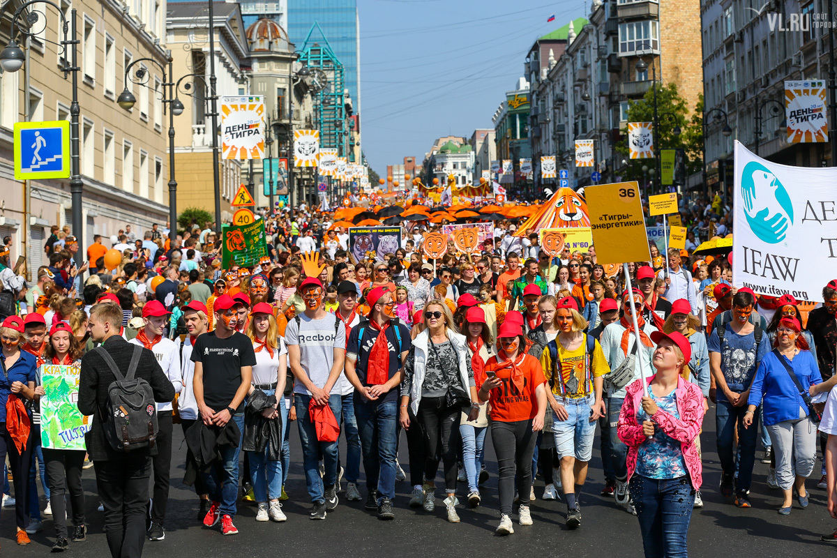 Шествие день тигра. День тигра владивосток 2021. День тигра концерт. Фестиваль день тигра. День тигра концерт.