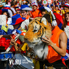 Ярким шествием и праздничным концертом Владивосток отмечает День тигра (ФОТО)