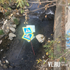 Неизвестные спилили и выкинули в реку знаки «Пешеходный переход» на Бородинской (ФОТО)