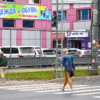 Светофор будет регулировать движение пешеходов и автомобилистов — newsvl.ru