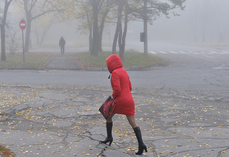 Апокалипсис сегодня: прогноз погоды в Хабаровском крае на 4 октября