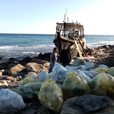 50 мешков мусора вывезли активисты с особо охраняемых территорий на Русском острове 