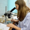 Работа по исследованию древних костей — newsvl.ru