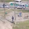 Жители Пацаева нашли гранату на детской площадке (ВИДЕО)