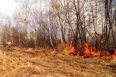 Оперативная информация на 21 октября: в Хабаровском крае горит лес