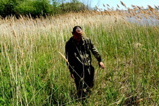 Аграрии не смогли освоить более 35 тысяч гектаров земли в Хабаровском крае