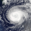 Число жертв тайфуна «Хагибис» в Японии достигло 98
