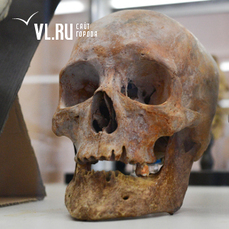 В медицинском университете Владивостока открылся современный Музей анатомии человека 