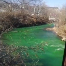 Река Объяснения окрасилась в зеленый цвет 