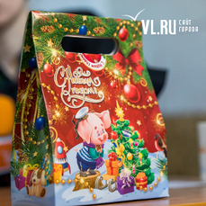 800 подарков получат на главной городской елке дети из многодетных семей от администрации Владивостока