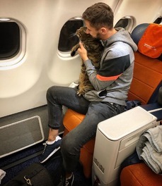 «Аэрофлот» отобрал 370 тысяч бонусных миль у пассажира, который пронес в салон слишком большого кота