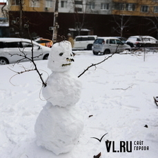 Время кидать снежки и лепить снеговиков — во Владивосток пришла настоящая зима 