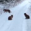 ���������� �� ����� � �������� ����� ��������� ��������� � ����������� �������, ��� ������ � �������