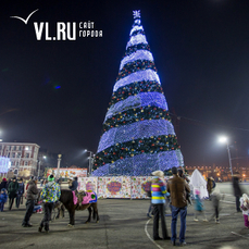 Главную елку Владивостока украсят гирляндой-триколором