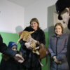 Первыми в новую квартиру хозяева впустили питомца – своего трехлетнего рыжего кота по кличке Болик — newsvl.ru