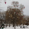 В ожидании новогодней елки: в Находке деревья украсили цветными шарами