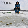 «Ни хвоста, ни чешуи» — любители зимней рыбалки во Владивостоке выходят на лед, несмотря на предупреждения МЧС (ФОТО)