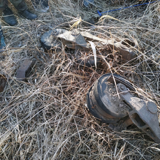 Поисковики обнаружили фрагменты четырех танков у озера Хасан 