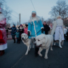 Много внимания привлекли Дед Мороз и Снегурочка, которые участвовали в параде с двумя белыми алабаями — newsvl.ru