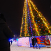 Больше всего внимание горожан привлекает главная елка — newsvl.ru