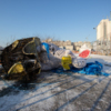В новогоднюю ночь мышку подожгли — newsvl.ru