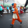 Юный тигр возвращается к финишу — newsvl.ru
