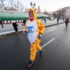 Костюм жирафа не только интересно выглядит, но и неплохо греет — newsvl.ru