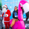 Розовый фламинго вышел особенно удачно — newsvl.ru