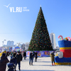 Владивостокцев приглашают на «Зимние забавы» в выходные