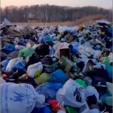 Приморцы возмущены из-за временной свалки мусора на пустыре для центра сортировки ТБО 