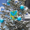 «Елки Дальнего Востока» остались с Нового года — newsvl.ru