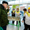 В одном из самых больших продуктовых супермаркетов сети «Реми» на Борисенко в акции принимают участие «Серебряные добровольцы» — newsvl.ru