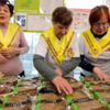 В организации «Серебряные добровольцы» состоят волонтеры зрелого возраста, чаще всего – пенсионеры — newsvl.ru