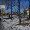 Сквер в районе улицы Тобольской, 10 был оформлен в частную собственность незаконно — newsvl.ru