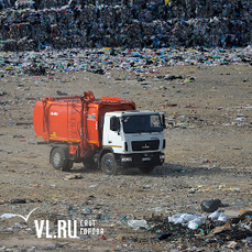 Запаркованные дворы, дополнительный перевозчик и шины: регоператор отчитался о первом месяце «мусорной реформы» во Владивостоке