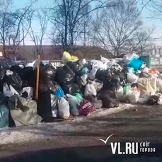 Во дворах Владивостока снова копится невывезенный мусор 